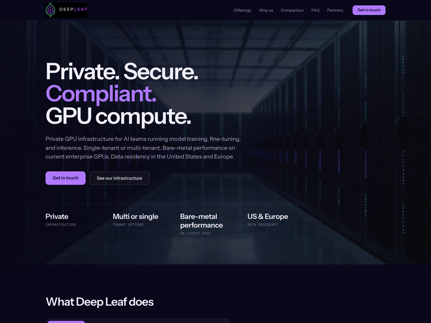 Deep Leaf Infra website
